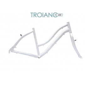 Telai in Alluminio City Bike Elegance BRN Donna