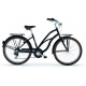 MBM MAUI CRUISER 26 DONNA 7V