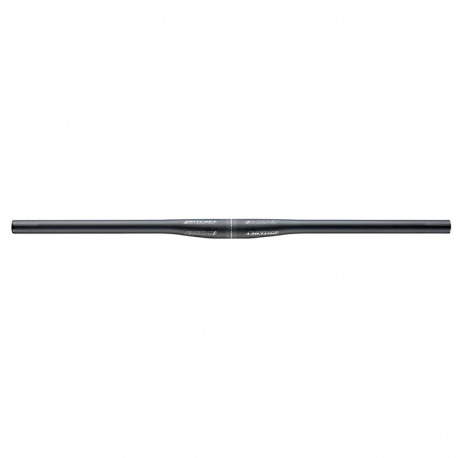 Manubrio Ritchey WCS MTB